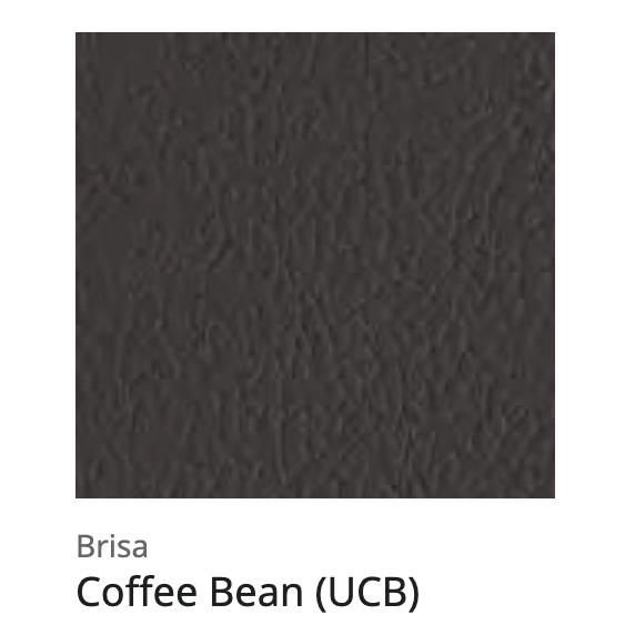 Golden Tech Cloud+ PR511/PR525 Lift Chair Recliner