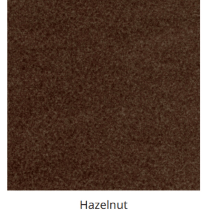 Golden EZ Sleeper PR750/PR764/PR761 Lift Chair Recliner Arm Chairs, Recliners & Sleeper Chairs Golden Technologies PR750 (Slim) Hazelnut